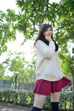 陀枪师姐电视剧