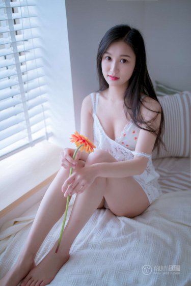 哈尔的移动城堡日语