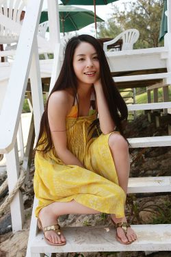巨齿鲨1